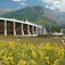 Wooden House “Campo Smith” - Bardonecchia