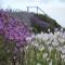 Lavender Hill
