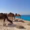 شاليهات بورتو مطروح فيو بحر Porto Matrouh Sea View Families Only - Marsa Matruh