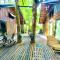 Khao Sok Tree House Resort - 考索