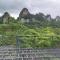Khao Sok Tree House Resort - 考索