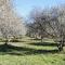 Terre Luberon