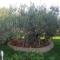 Apartment in Sucuraj with sea view, terrace, air conditioning, WiFi 3354-1