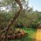 Apartment in Sucuraj with sea view, terrace, air conditioning, WiFi 3354-1 - Sućuraj