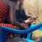 Maasai homestay camping