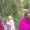 Maasai homestay camping - Sekenani