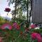 Treehut, nature, birds, silence and fjord - Samlanes
