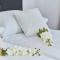 Apartments Wrocław Bajana by Noclegi Renters - 弗罗茨瓦夫