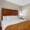 Comfort Inn Syosset-Long Island