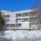Apartment Chesa Fleury by Interhome