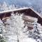 Apartment Colline 8 by Interhome - Champex