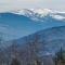 Mount Washington Views - Bartlett