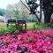 Waterford Manor