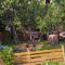 Foto: Relaxed apartment & garden in woods area 7/28