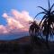 Wolverfontein Karoo Cottages - 莱迪史密斯 Wolverfontein Karoo Cottages - 莱迪史密斯