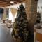 Hotel Serdar