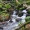 Black Forest Kuckucksnest Schönwald im Schwarzwald