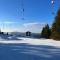Cozy Condo, Ski in and Out - 托特瑙