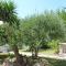 Homing Cambrils 23 - Cambrils