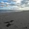 Sunrise Beach Oscoda @ Surfside - Oscoda