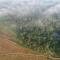Raindrops Resorts Wayanad - Sultan Bathery