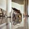 Crowne Plaza Wuhan Optics Valley by IHG - Wu-chan