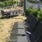 FRANKES LODGE Apartment mit Garten und Pool, 6 Einzelbetten, Parkplatz