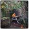 Matlock Glamping Rooms