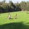 Karri Valley Chalets
