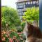 Gut Bunt Ferienhaus