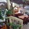 Guest House Rosa