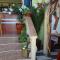 Guest House Rosa