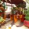 Guest House Rosa