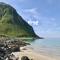 Midnight Sun Panorama - Napp