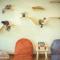 Cat Story Hotel