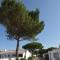Le Parc des Mimosas - Noirmoutier-en-l'lle