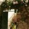 Lovely apartment in old part of Vis