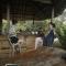 Taorayiná nature lodge- immersed in the forest - 埃尔扎伊诺