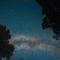 Taorayiná nature lodge- immersed in the forest - 埃尔扎伊诺