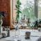 Hotel Metsis