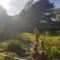 Kingsmede Bed & Breakfast