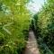 Green house Peroj, WI-FI, FREE PARKING, GARDEN, HOT TUBE, PET FRIENDLY