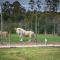Tenikwa Wildlife Centre & Spa