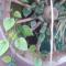 Thiru Nakshatra Family Guest House