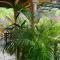 Effie Mountain View coco villa