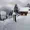 Chalet l'Alpe - Saint-Pierre-dʼEntremont