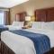 Comfort Inn Downtown - University Area - Kalamazoo