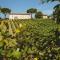 Fattoria Camigliano, Luxury Farmhouse with Pool inside a Wine Estate