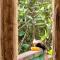 Suite da Fernanda