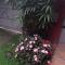 Suite da Fernanda
